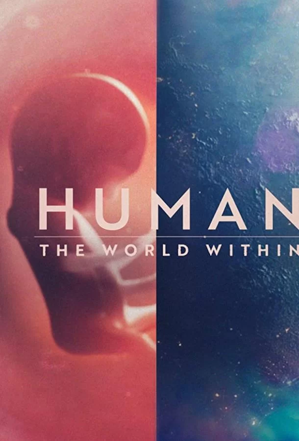 Человеческое тело: мир внутри